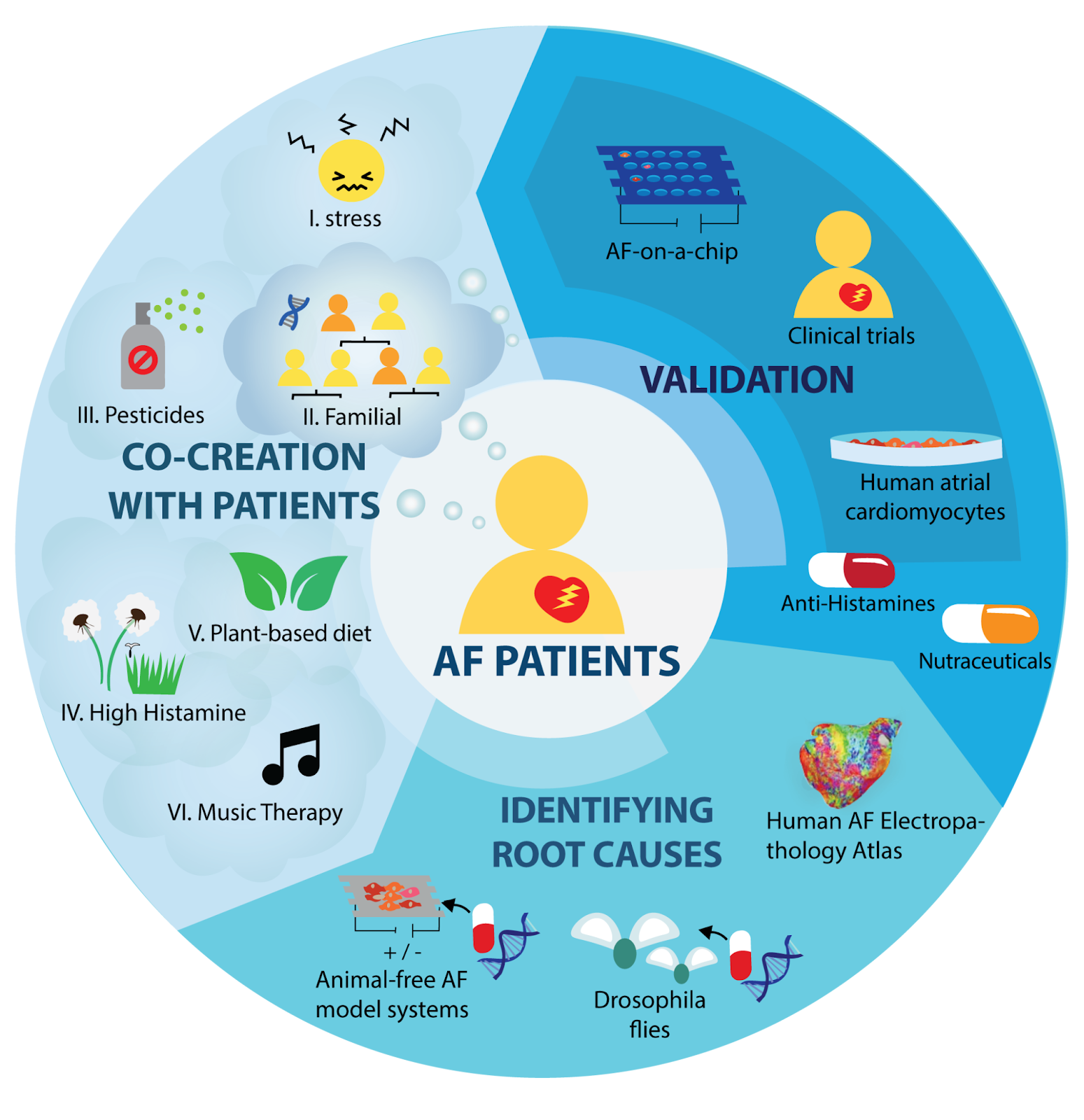 What kind of research does MyAfib do?